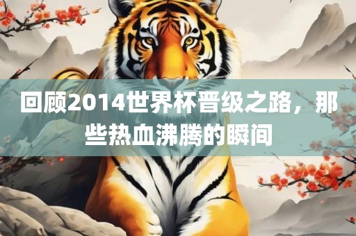 回顾2014世界杯晋级之路，那些热血沸腾的瞬间