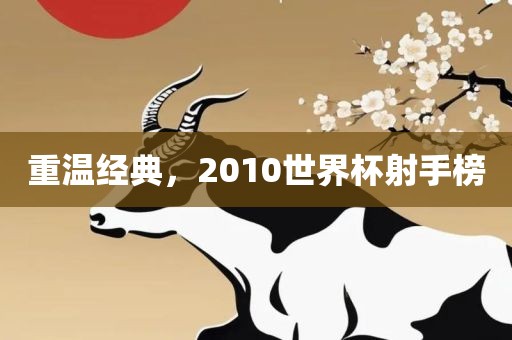 重温经典，2010世界杯射手榜