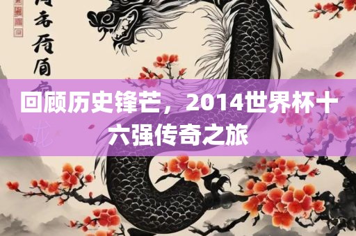 回顾历史锋芒，2014世界杯十六强传奇之旅
