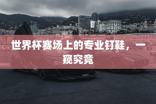 世界杯赛场上的专业钉鞋，一窥究竟漯河市盈旭机械设备有限公司
