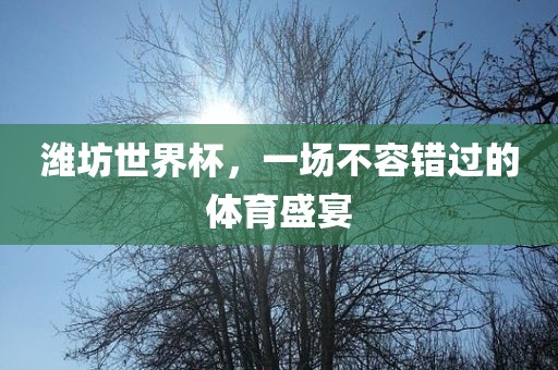潍坊世界杯，一场不容错过的体育盛宴