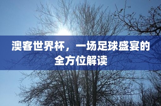 澳客世界杯，一场足球盛宴的全方位解读
