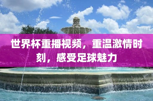 世界杯重播视频，重温激情时刻，感受足球魅力漯河市盈旭机械设备有限公司