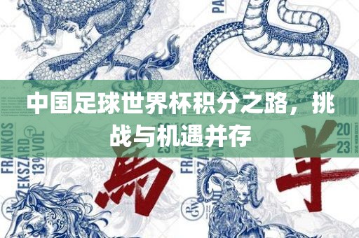 中国足球世界杯积分之路，挑战与机遇并存