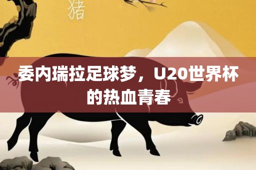 委内瑞拉足球梦，U20世界杯的热血青春