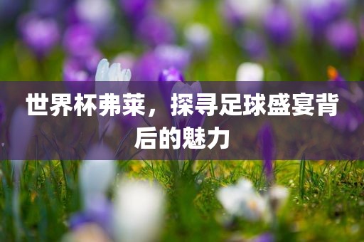 世界杯弗莱，探寻足球盛宴背后的魅力