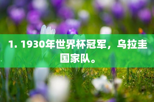 乌拉圭国家队 第2页
