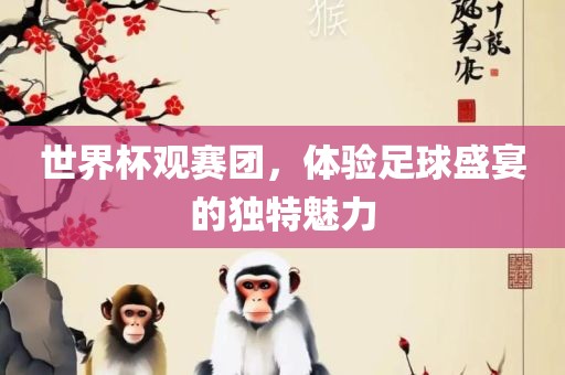 世界杯观赛团，体验足球盛宴的独特魅力