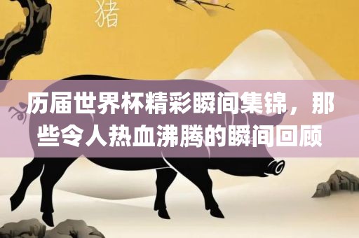 历届世界杯精彩瞬间集锦，那些令人热血沸腾的瞬间回顾