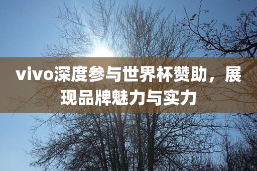 vivo深度参与世界杯赞助，展现品牌魅力与实力漯河市盈旭机械设备有限公司