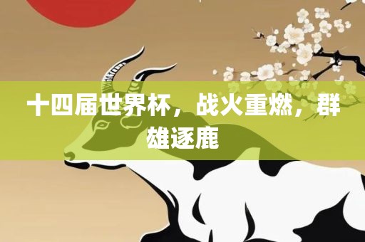 十四届世界杯，战火重燃，群雄逐鹿