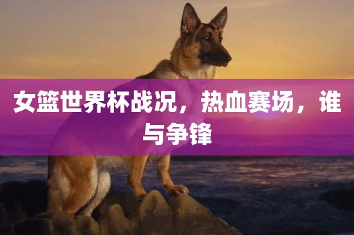 女篮世界杯战况，热血赛场，谁与争锋