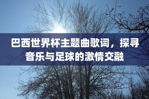 巴西世界杯主题曲歌词，探寻音乐与足球的激情交融