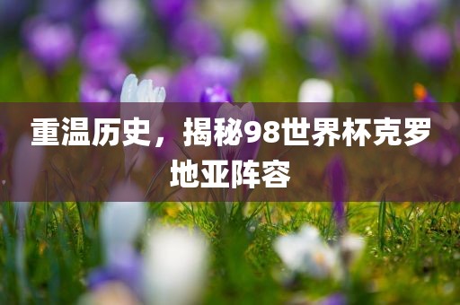 重温历史，揭秘98世界杯克罗地亚漯河市盈旭机械设备有限公司阵容