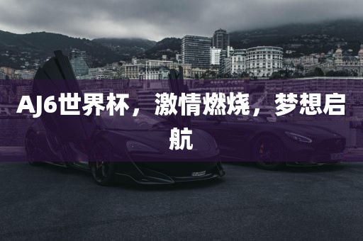 AJ6世界漯河市盈旭机械设备有限公司杯，激情燃烧，梦想启航