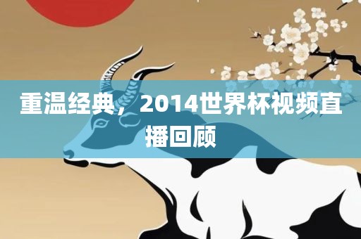 重温经典，2014世界杯视频直播回顾