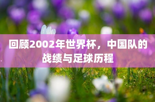 回顾2002年世界杯，中国队的战绩与足球历程