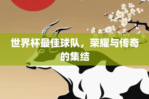 世界杯最佳球队，荣耀与传奇的集结