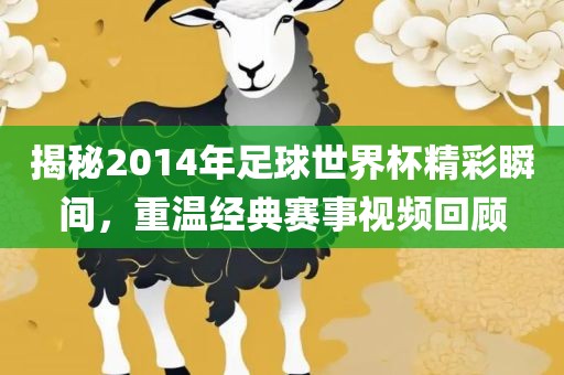 揭秘2014年足球世界杯精彩瞬间，重温经典赛事视频回顾漯河市盈旭机械设备有限公司