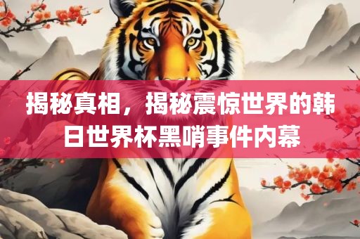 揭秘真相，揭秘震惊世界的韩日世界杯黑哨事件内幕