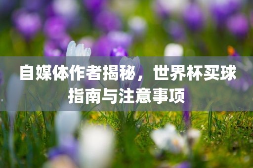 自媒体作者揭秘，世界杯买球指南与注意事项