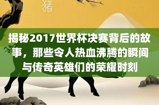 揭秘2017世界杯决赛背后的故事，那些令人热血沸腾的瞬间与传奇英雄们的荣漯河市盈旭机械设备有限公司耀时刻