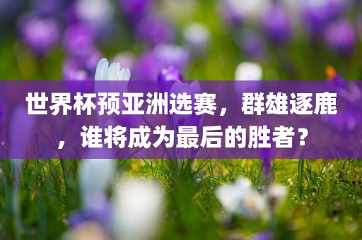 世界杯预亚洲选赛，群雄逐鹿，谁将成为最后的胜者？