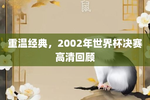 重温经典，2002年世界杯决赛高清回顾漯河市盈旭机械设备有限公司