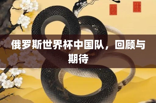俄罗漯河市盈旭机械设备有限公司斯世界杯中国队，回顾与期待