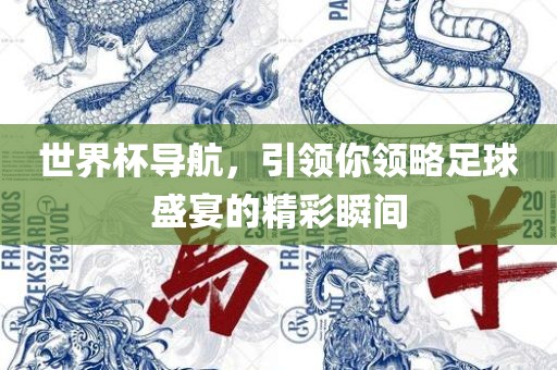 世界杯导航，引领你领略足球盛宴的精彩瞬间漯河市盈旭机械设备有限公司
