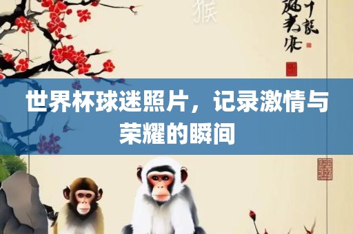 世界杯球迷照片，记录激情与荣耀的漯河市盈旭机械设备有限公司瞬间