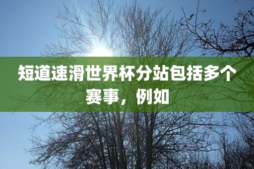 短道速滑世界杯分站包括多个赛事，例如