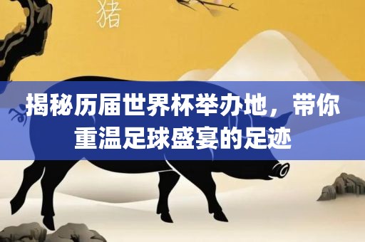 揭秘历届世界杯举办地，带你重温足球盛宴的足迹漯河市盈旭机械设备有限公司