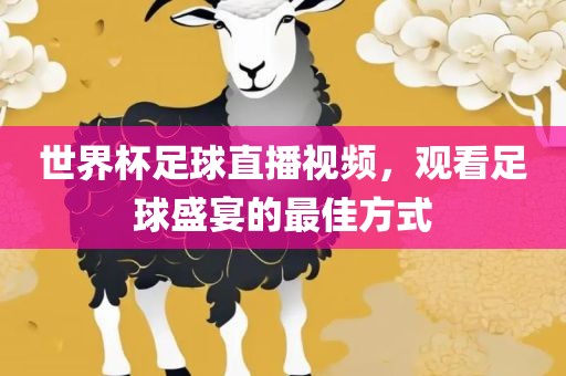 世界杯足球直播视频，观看足球盛宴的最佳方式