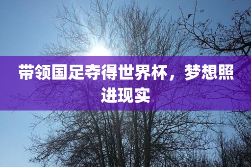 带领国足夺得世界杯，梦想照进现实