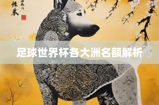 足球世界杯各大洲名额解析