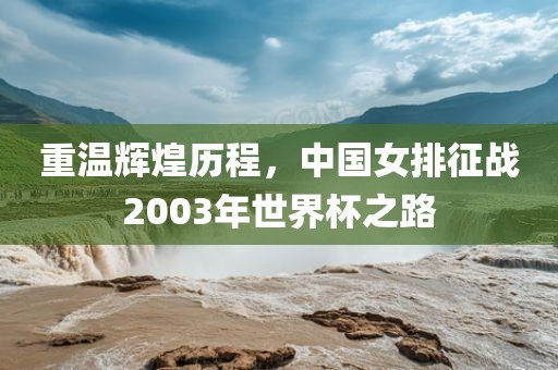 重温辉煌历程，中国女排征战2003年世界杯之路