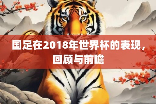 国足在2018年世界杯的表现，回顾与前瞻