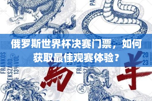 俄罗斯世界杯决赛门票，如何获取最佳观赛体验？