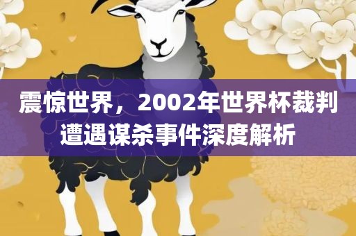 震惊世界，2002年世界杯裁判漯河市盈旭机械设备有限公司遭遇谋杀事件深度解析