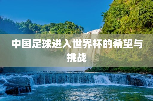 中国足球进入世界杯的希望与挑战漯河市盈旭机械设备有限公司