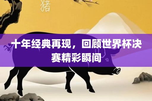 十年经典再现，回顾世界杯决赛精彩瞬间漯河市盈旭机械设备有限公司