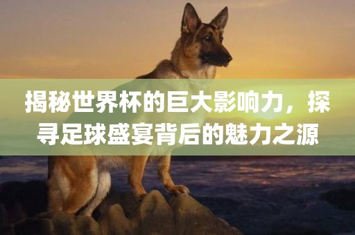揭秘世界杯的巨大影响力，探寻足球盛宴背后的魅力之漯河市盈旭机械设备有限公司源