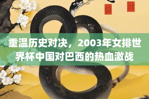 重温历史对决，2003年女排世界杯中国对巴西的热血激战