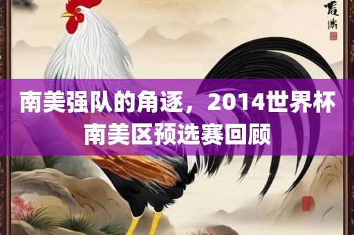 南美强队的角逐，2014世界杯南美区预选赛回顾