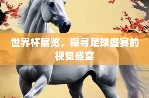 世界杯展览，探寻足球盛宴的视觉盛宴
