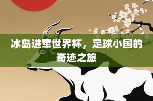 冰岛进军世界杯，足球小国的奇迹之旅漯河市盈旭机械设备有限公司