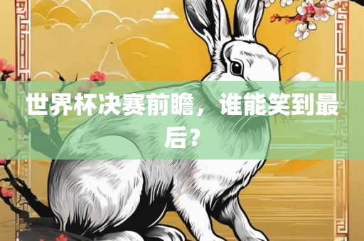 世界杯决赛前瞻，谁能笑到最后？漯河市盈旭机械设备有限公司
