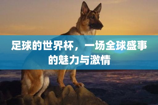 世界杯足球