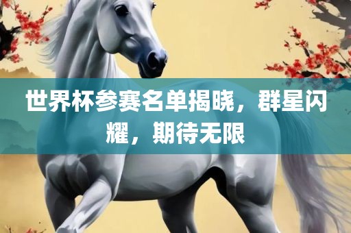 世界杯参赛名单揭晓，群星闪耀，期待无限